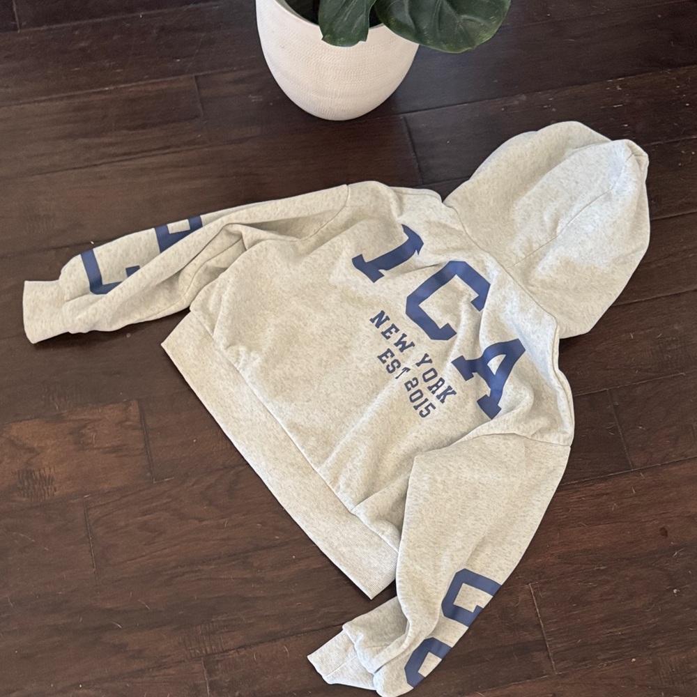 Gray Hooded Sweatshirt with Blue Lettering - New York Graphic Hoodie